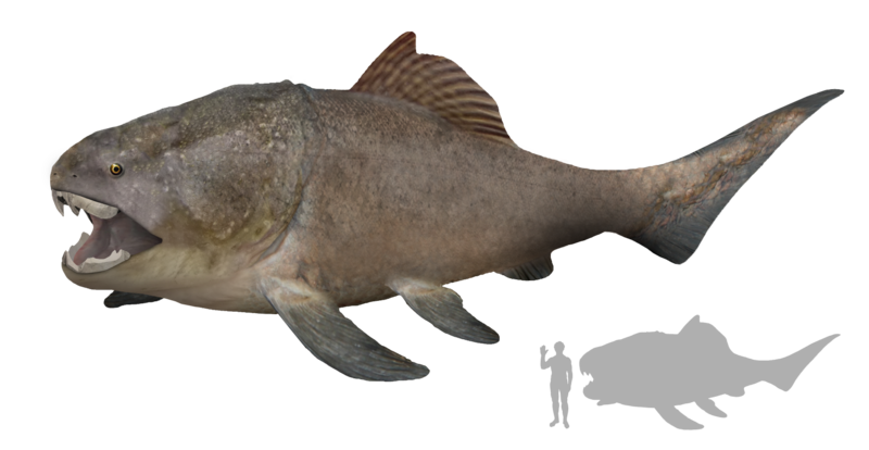 File:Dunkleosteus Artist's Impression.png