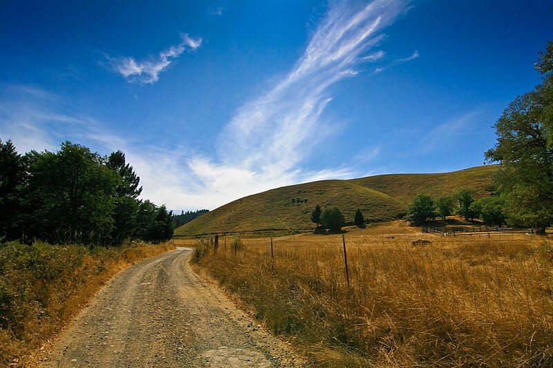 File:Ettersburg Nature Landscape.jpg