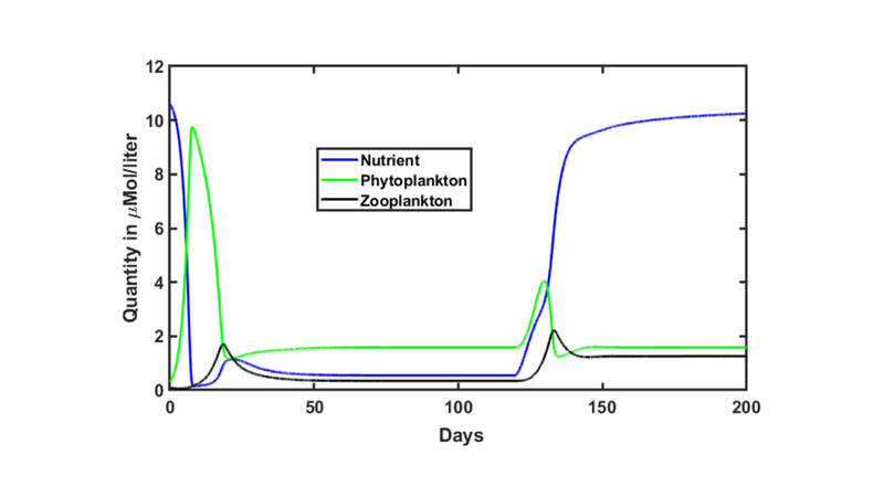 File:FWF NPZmodelResults.png