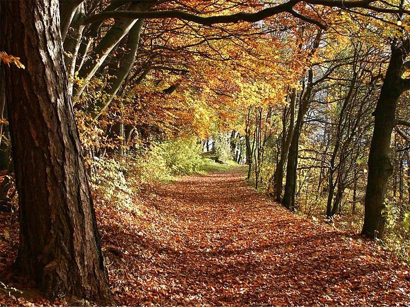 File:Herbst.jpg