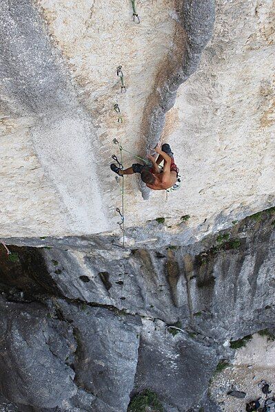 File:Hulkosaure 8b Verdon.jpg