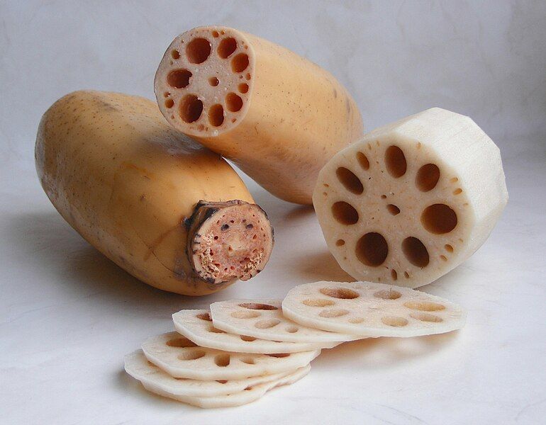 File:Lotus root.jpg