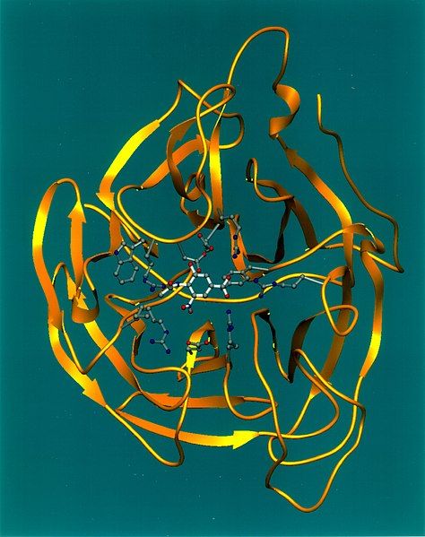 File:Neuraminidase Ribbon Diagram.jpg