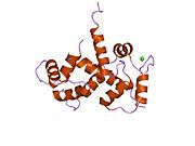 2bbm: SOLUTION STRUCTURE OF A CALMODULIN-TARGET PEPTIDE COMPLEX BY MULTIDIMENSIONAL NMR