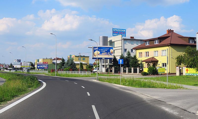 File:SĘKOCIN NOWY 02.jpg