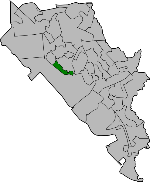 File:TingOnConstituency.svg