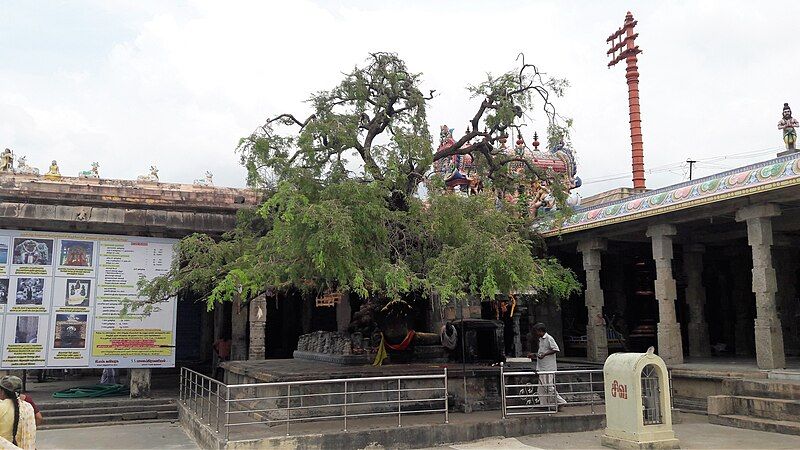 File:Vedaranyeswarar temple (28).jpg