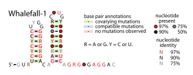 File:Whalefall-1-RNA.svg