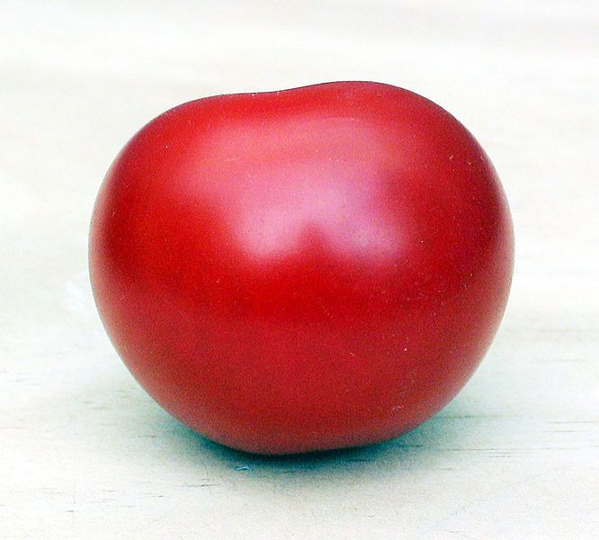 File:A Tomato.jpg