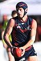 Angus Brayshaw AFL premiership player in 2019