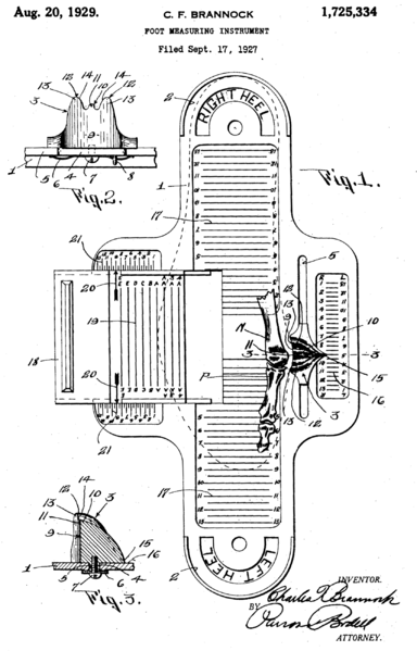 File:Brannock uspat1725334-fig1.png