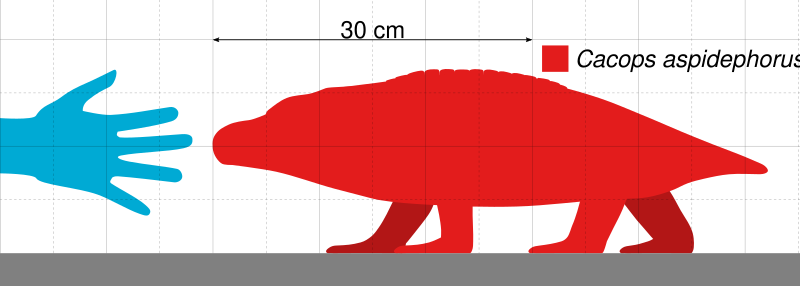 File:Cacops Scale.svg