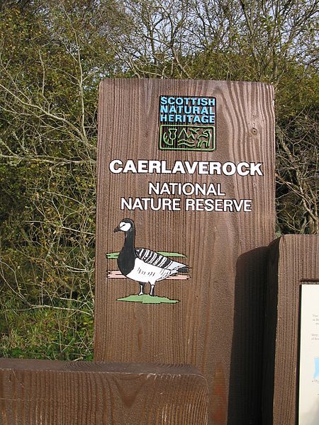 File:CaerlaverockNationalNatureReserve.jpg