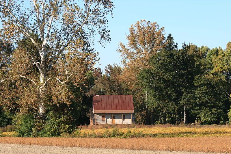 File:Carter-Simmonns House post-stabilization.jpg