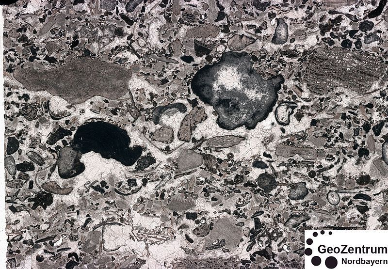 File:DunhamRudstonesparite.jpg