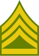 File:Haiti-Army-OR-6a.svg