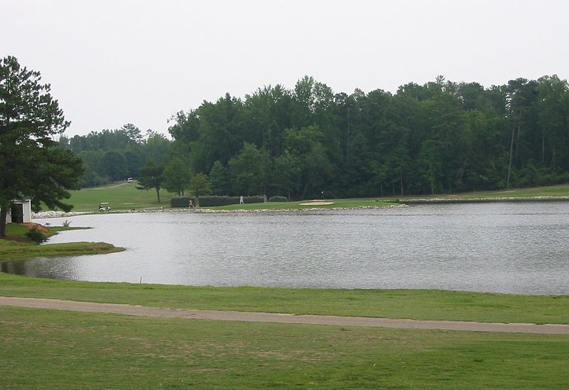 File:Indian Pines 2007.jpg