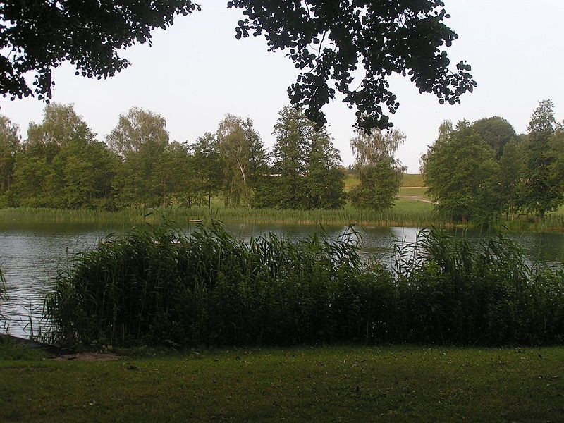 File:Mettmenhaslisee.jpg