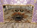 The Silver Star marking the birthplace of Jesus in the Church of the Nativity in Manger Square, Bethlehem, in 2007