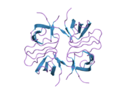 2fpf: Crystal structure of the ib1 sh3 dimer at low resolution