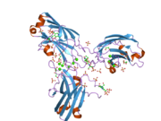 2uzp: CRYSTAL STRUCTURE OF THE C2 DOMAIN OF HUMAN PROTEIN KINASE C GAMMA.