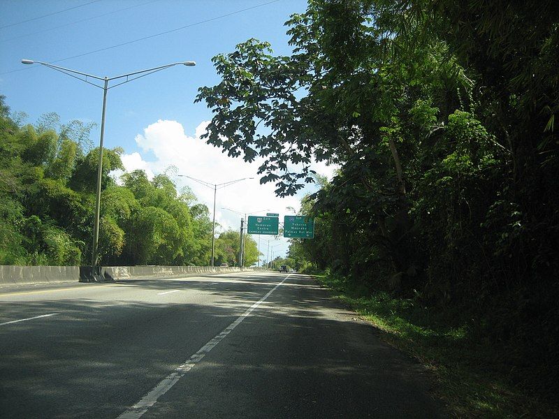 File:PR-30 JCT PR-60.jpg