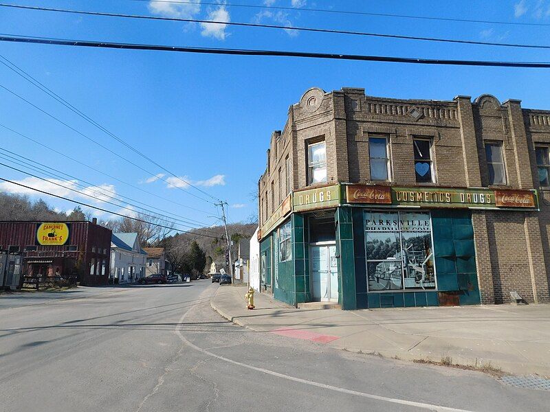 File:Parksville NY downtown.jpg