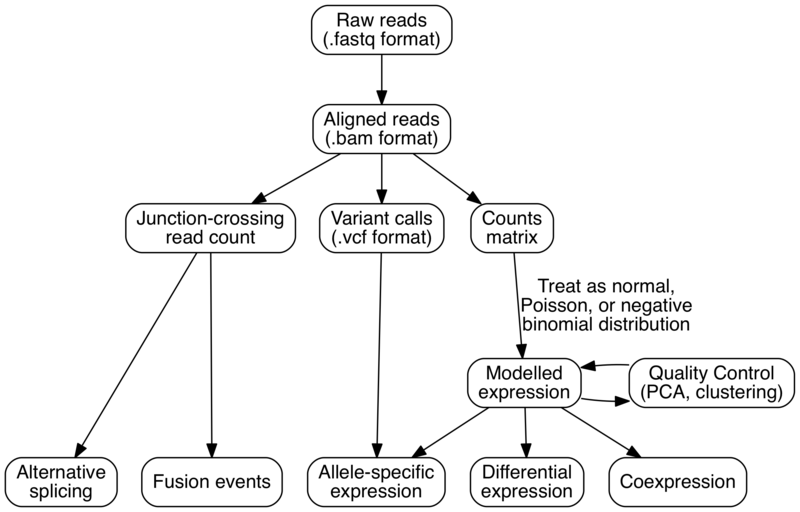 File:RNASeqWorkflow2016.png