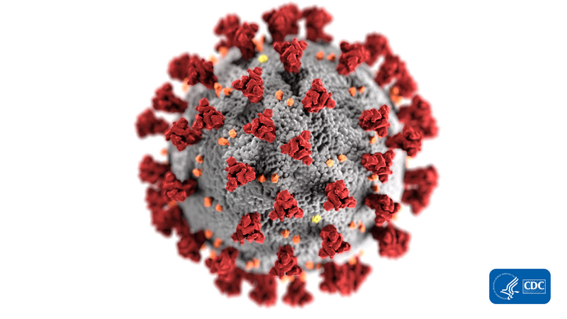 File:SARS-CoV-2-CDC-23312.png