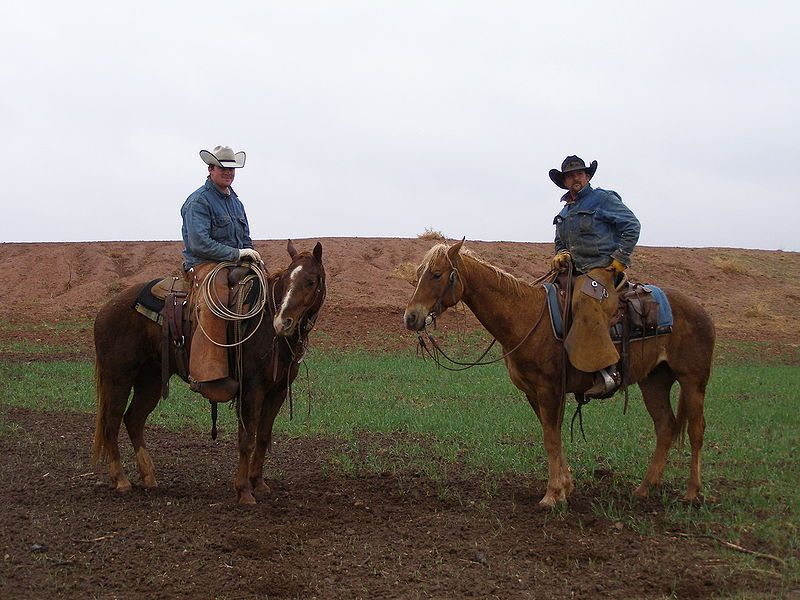 File:Texascowboys2.jpg