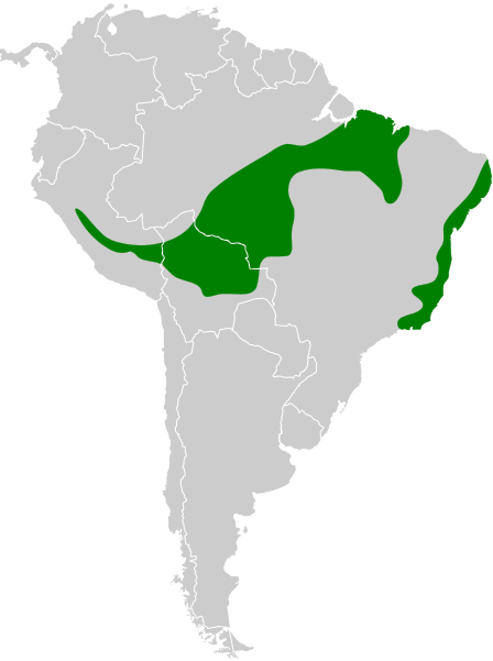 File:Thamnophilus palliatus map.svg