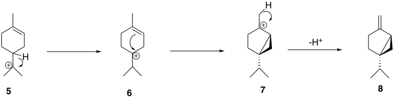 File:The-conversion-of-alpha-terpinyl-cation-to-sabinene.png