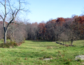 Battle of Gettysburg, Second Day