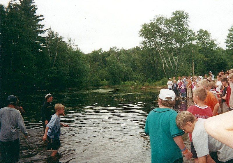 File:Ymca wanakita swamp.jpg