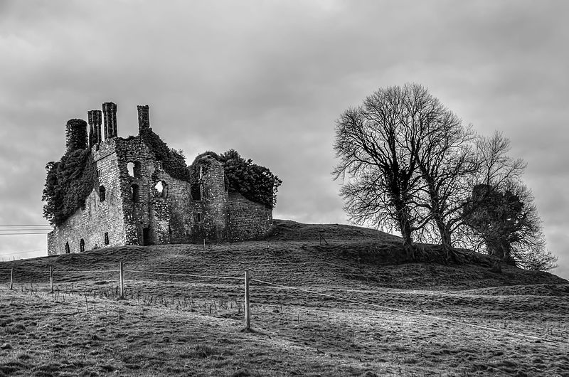 File:Carbury Castle.jpg