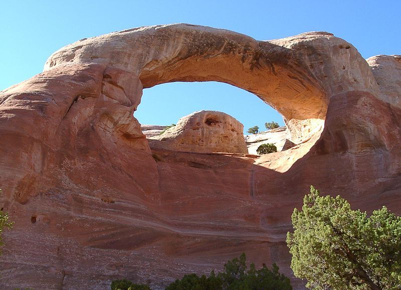 File:Cedar tree arch.jpg