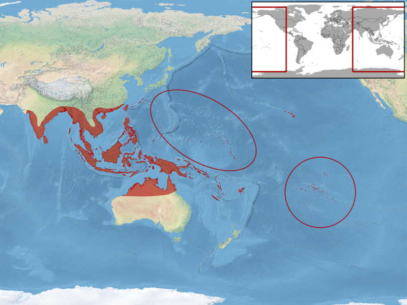 File:Hemidactylus frenatus distribution.png