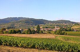 A general view of Lantignié