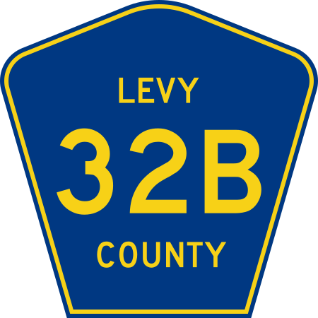 File:Levy County 32B.svg