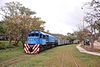 A train pulled by a EMD G22 locomotive decorated with corporate colors in August 2015