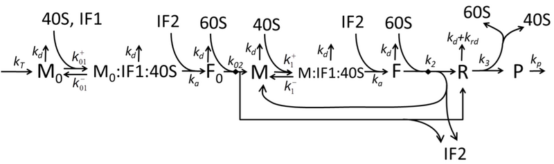 File:ModelM1'.png