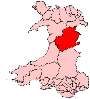 File:Montgomeryshire2007Constituency.svg