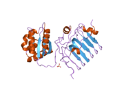 2bx6: CRYSTAL STRUCTURE OF THE HUMAN RETINITIS PIGMENTOSA PROTEIN 2 (RP2)