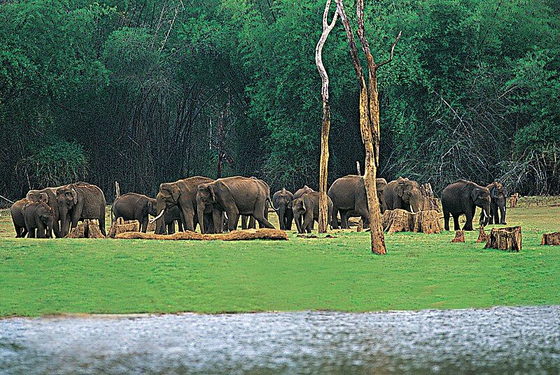 File:Periyar Thekkady.jpg