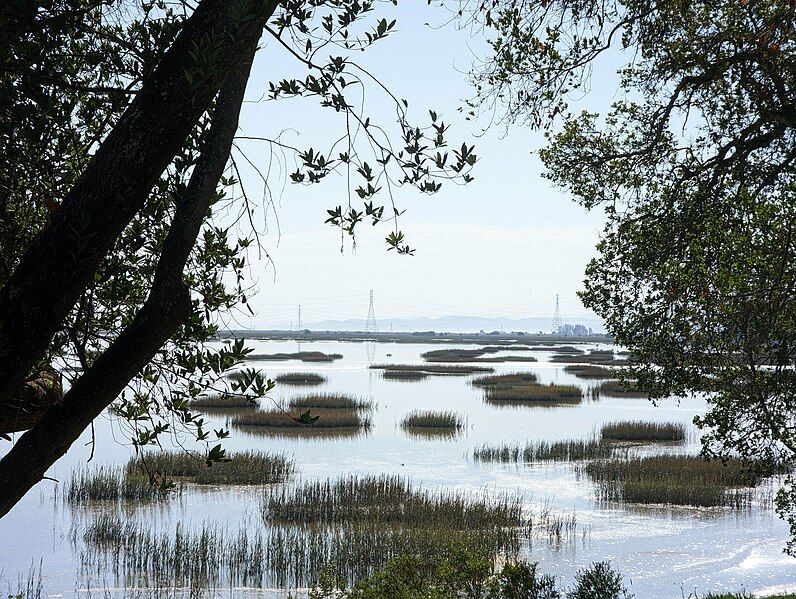 File:Rush Creek Marshland.jpg