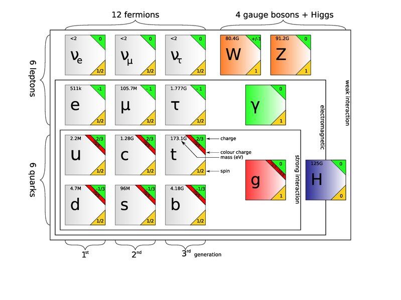 File:StandardModel particleZoo.pdf