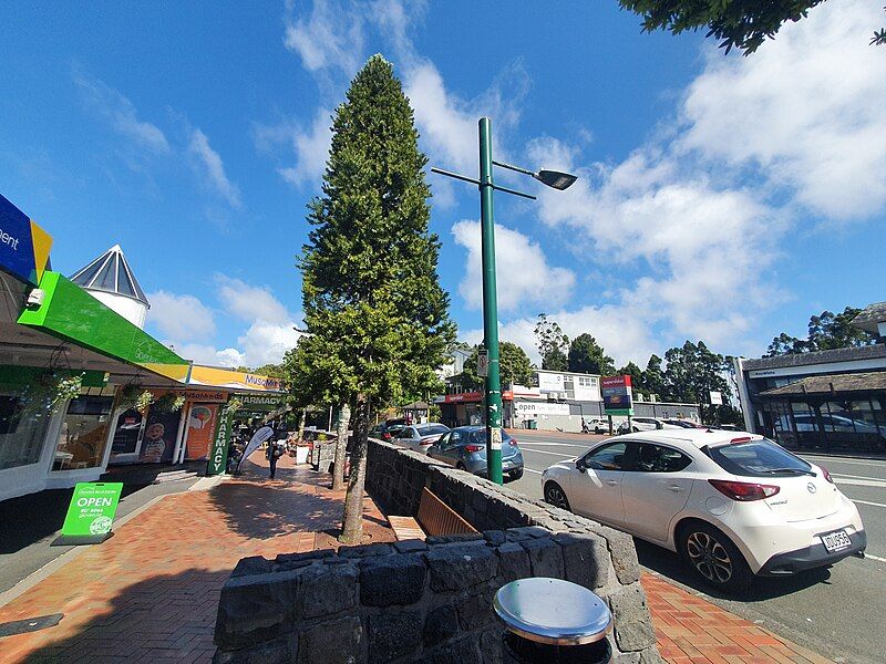 File:Titirangi 20221101 102719.jpg