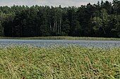 Zdróżno Lake