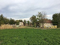 View of the village