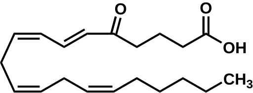 File:5-oxo-ETE.svg